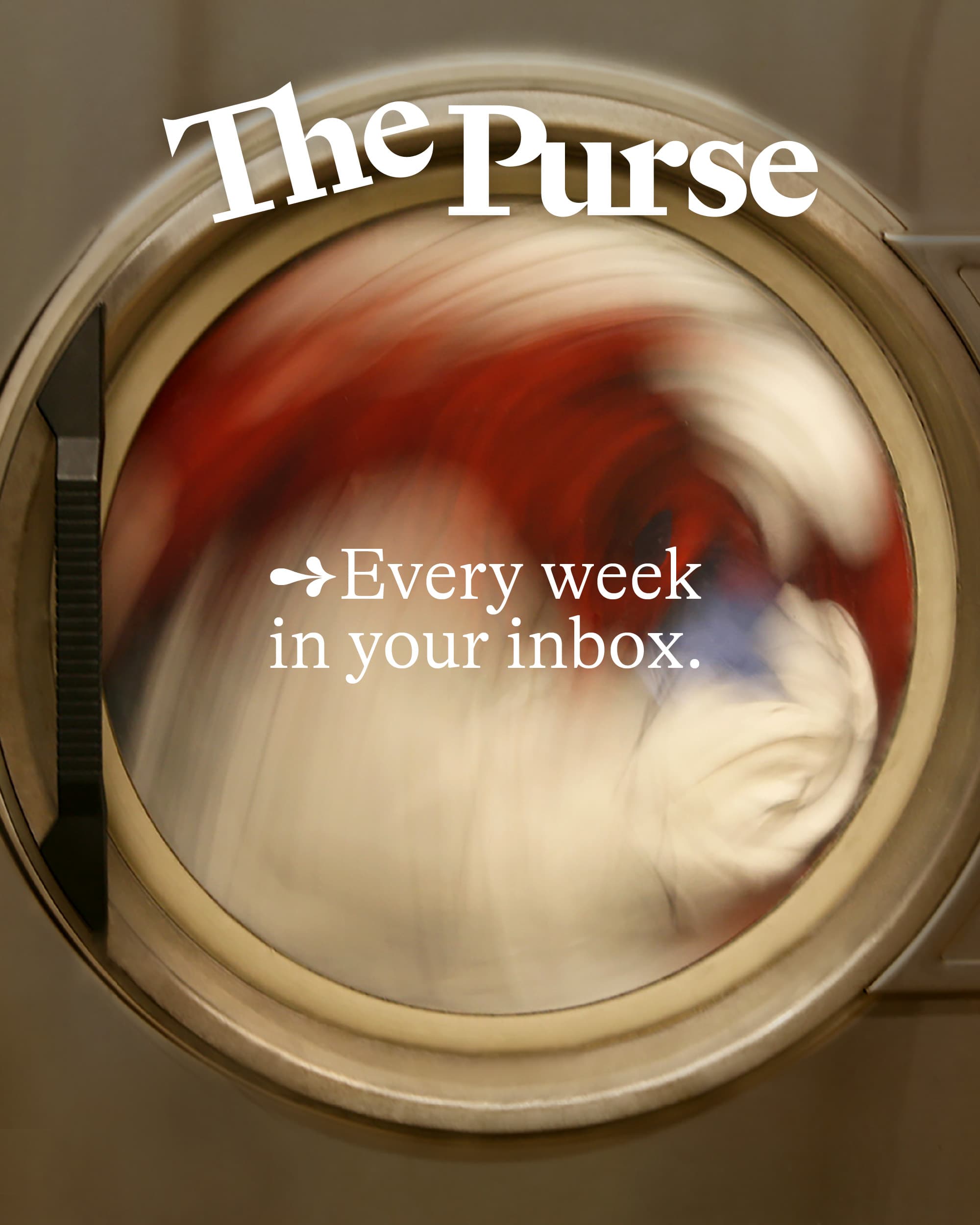 The Purse wordmark and newsletter message over a spinning washing machine